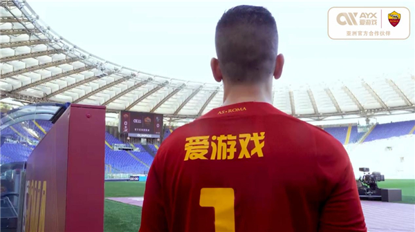 职业生涯以